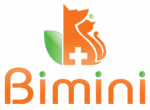 Bimini_Registered_Logo